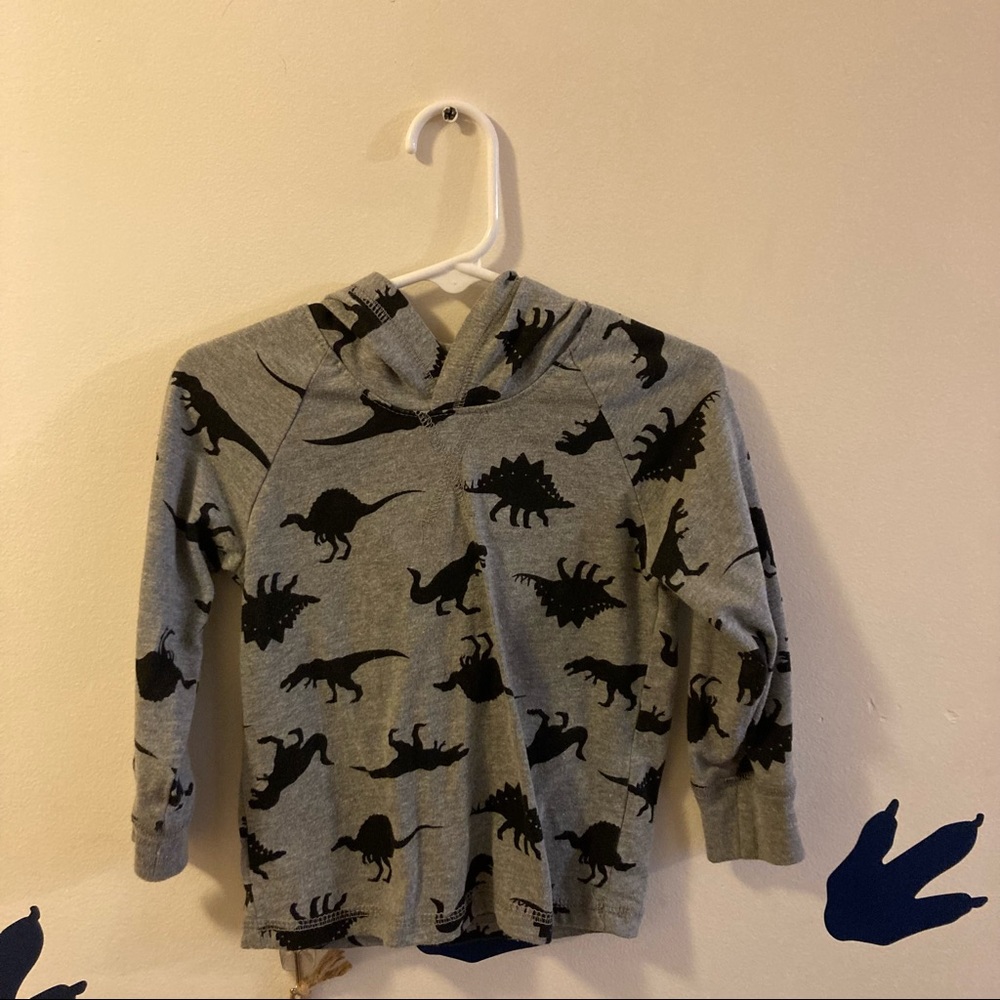 Garanimals Toddler Boy Dinosaur Hoodie Size 2T